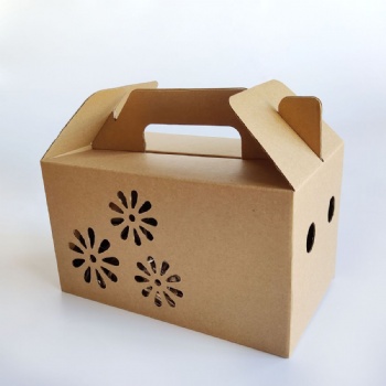 瓦楞纸盒-包装纸盒